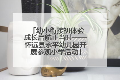 幼小衔接初体验 成长启航正当时——怀远县永平幼儿园开展参观小学活动