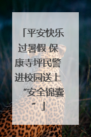 平安快乐过暑假 保康寺坪民警进校园送上“安全锦囊”