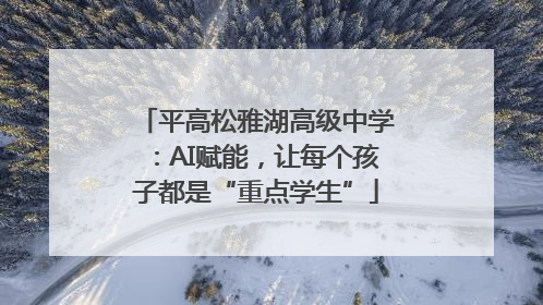 平高松雅湖高级中学：AI赋能，让每个孩子都是“重点学生”