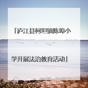 庐江县柯坦镇陈埠小学开展法治教育活动