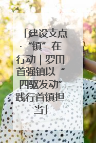 建设支点·“镇”在行动｜罗田首强镇以“四驱发动”践行首镇担当