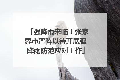强降雨来临！张家界市严阵以待开展强降雨防范应对工作
