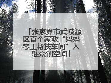 张家界市武陵源区首个家政“妈妈零工帮扶车间”入驻众创空间