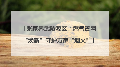 张家界武陵源区：燃气管网“焕新”守护万家“烟火”