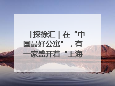 探徐汇｜在“中国最好公寓”，有一家盛开着“上海玫瑰”的书店