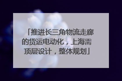 推进长三角物流走廊的货运电动化，上海需顶层设计，整体规划