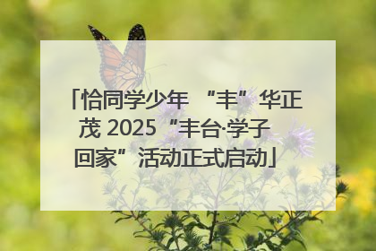 恰同学少年 “丰”华正茂 2025“丰台·学子回家”活动正式启动