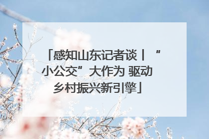 感知山东记者谈丨“小公交”大作为 驱动乡村振兴新引擎