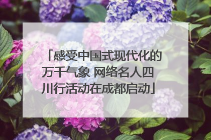 感受中国式现代化的万千气象 网络名人四川行活动在成都启动