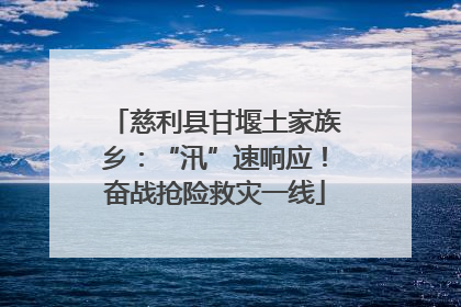 慈利县甘堰土家族乡：“汛”速响应！奋战抢险救灾一线