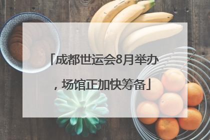 成都世运会8月举办，场馆正加快筹备