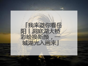 我来邀你看岳阳丨洞庭湖大桥彩绘换新颜，一城湖光入画来