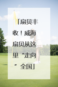 扇贝丰收！威海扇贝从这里“走向”全国