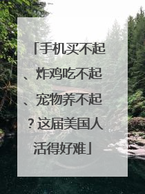 手机买不起、炸鸡吃不起、宠物养不起？这届美国人活得好难