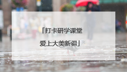 打卡研学课堂 爱上大美新疆