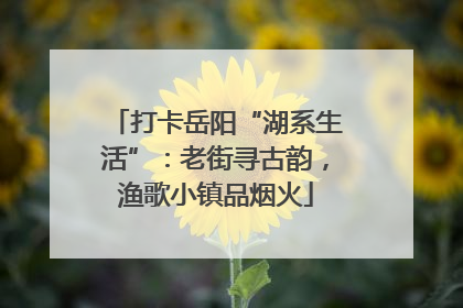 打卡岳阳“湖系生活”：老街寻古韵，渔歌小镇品烟火