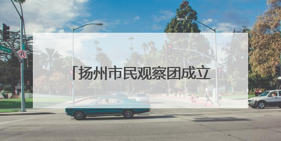 扬州市民观察团成立20周年，198人团队用脚步丈量文明 让城市更有温度