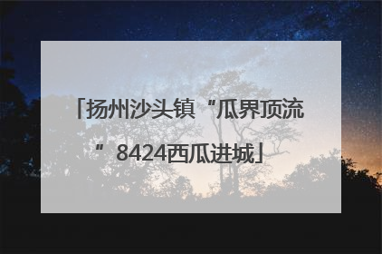 扬州沙头镇“瓜界顶流”8424西瓜进城