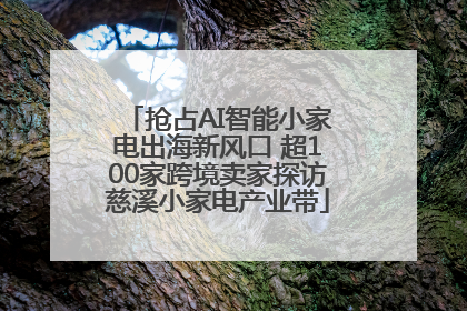 抢占AI智能小家电出海新风口 超100家跨境卖家探访慈溪小家电产业带