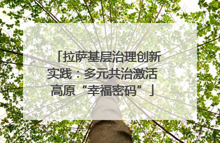 拉萨基层治理创新实践：多元共治激活高原“幸福密码”