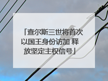 查尔斯三世将首次以国王身份访加 释放坚定主权信号