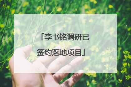 李书铭调研已签约落地项目