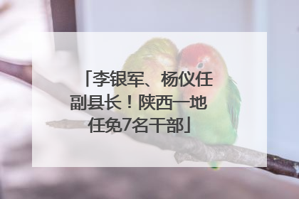 李银军、杨仪任副县长！陕西一地任免7名干部