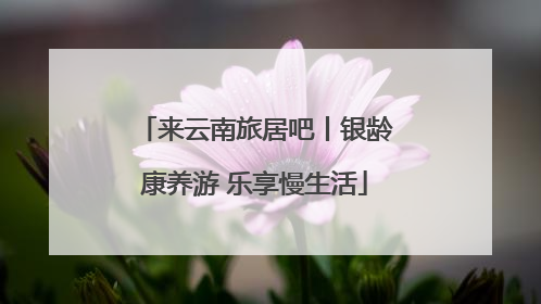 来云南旅居吧丨银龄康养游 乐享慢生活