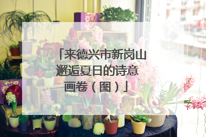 来德兴市新岗山 邂逅夏日的诗意画卷（图）