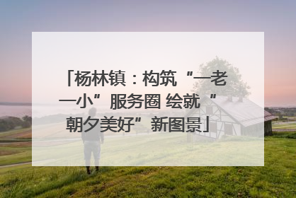 杨林镇：构筑“一老一小”服务圈 绘就“朝夕美好”新图景