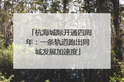 杭海城际开通四周年：一条轨道跑出同城发展加速度