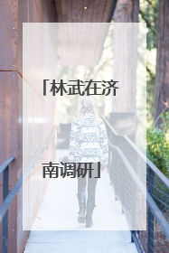 林武在济南调研
