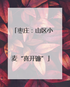 枣庄：山区小麦“喜开镰”