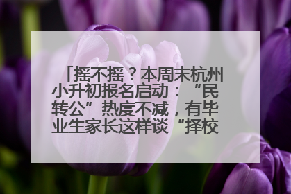 摇不摇？本周末杭州小升初报名启动：“民转公”热度不减，有毕业生家长这样谈“择校真相”……