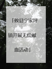 攸县宁家坪镇开展无偿献血活动