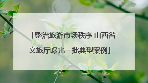 整治旅游市场秩序 山西省文旅厅曝光一批典型案例