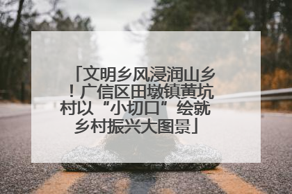 文明乡风浸润山乡！广信区田墩镇黄坑村以“小切口”绘就乡村振兴大图景
