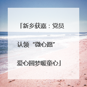 新乡获嘉：党员认领“微心愿” 爱心圆梦暖童心