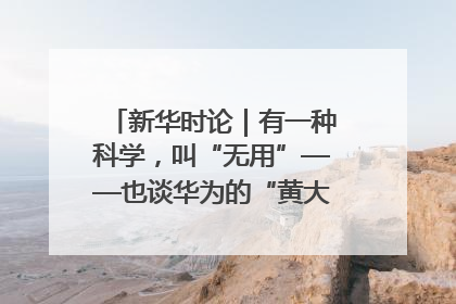 新华时论｜有一种科学，叫“无用”——也谈华为的“黄大年茶思屋”