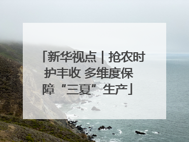 新华视点｜抢农时 护丰收 多维度保障“三夏”生产