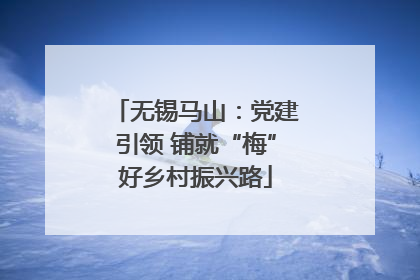 无锡马山：党建引领 铺就“梅”好乡村振兴路