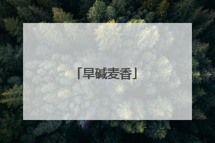 旱碱麦香