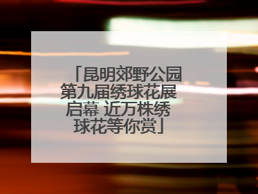 昆明郊野公园第九届绣球花展启幕 近万株绣球花等你赏