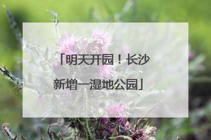 明天开园！长沙新增一湿地公园