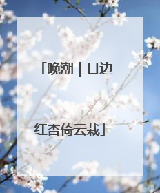 晚潮｜日边红杏倚云栽