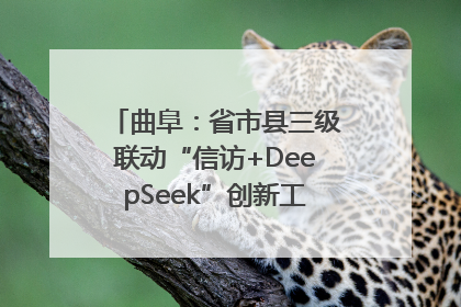 曲阜：省市县三级联动“信访+DeepSeek”创新工作新闻发布会举行