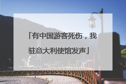 有中国游客死伤，我驻意大利使馆发声