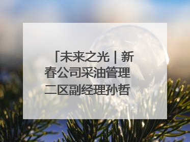 未来之光｜新春公司采油管理二区副经理孙哲的油田进化论