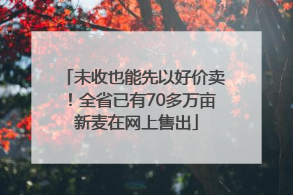 未收也能先以好价卖！全省已有70多万亩新麦在网上售出