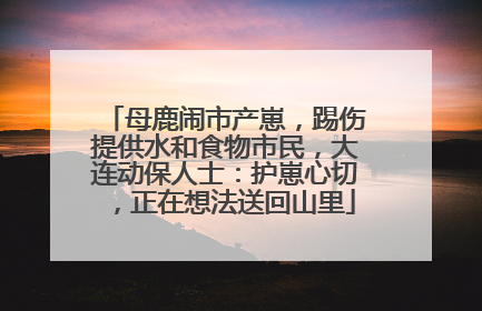 母鹿闹市产崽，踢伤提供水和食物市民，大连动保人士：护崽心切，正在想法送回山里